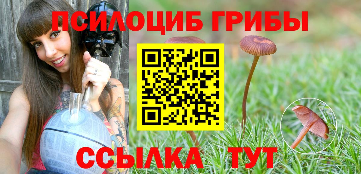 Ярцево  купить  сайты  Вход с VPN  Псилоцибиновые грибы MAGIC MUSHROOMS 