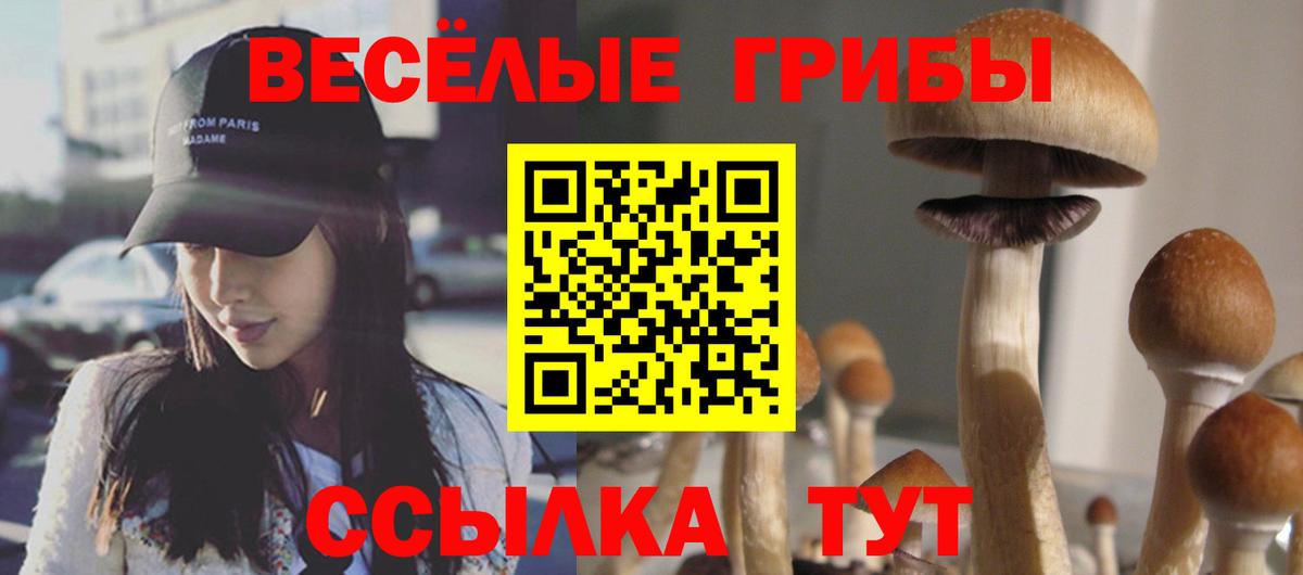 Галлюциногенные грибы ЛСД Ярцево